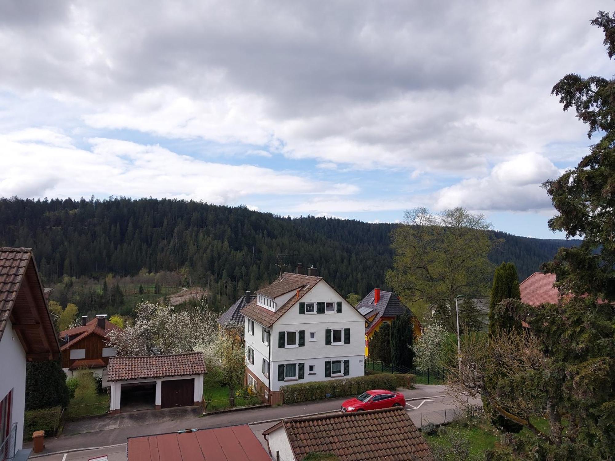 Fewo Salenberg Freudenstadt Exterior foto